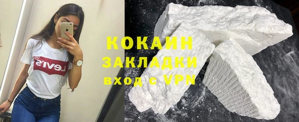 шишки Алексин